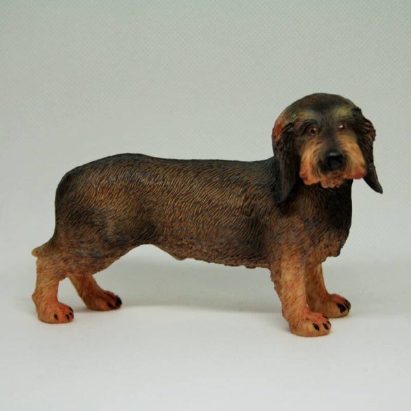 Teckel draadhaar, 13,5 cm