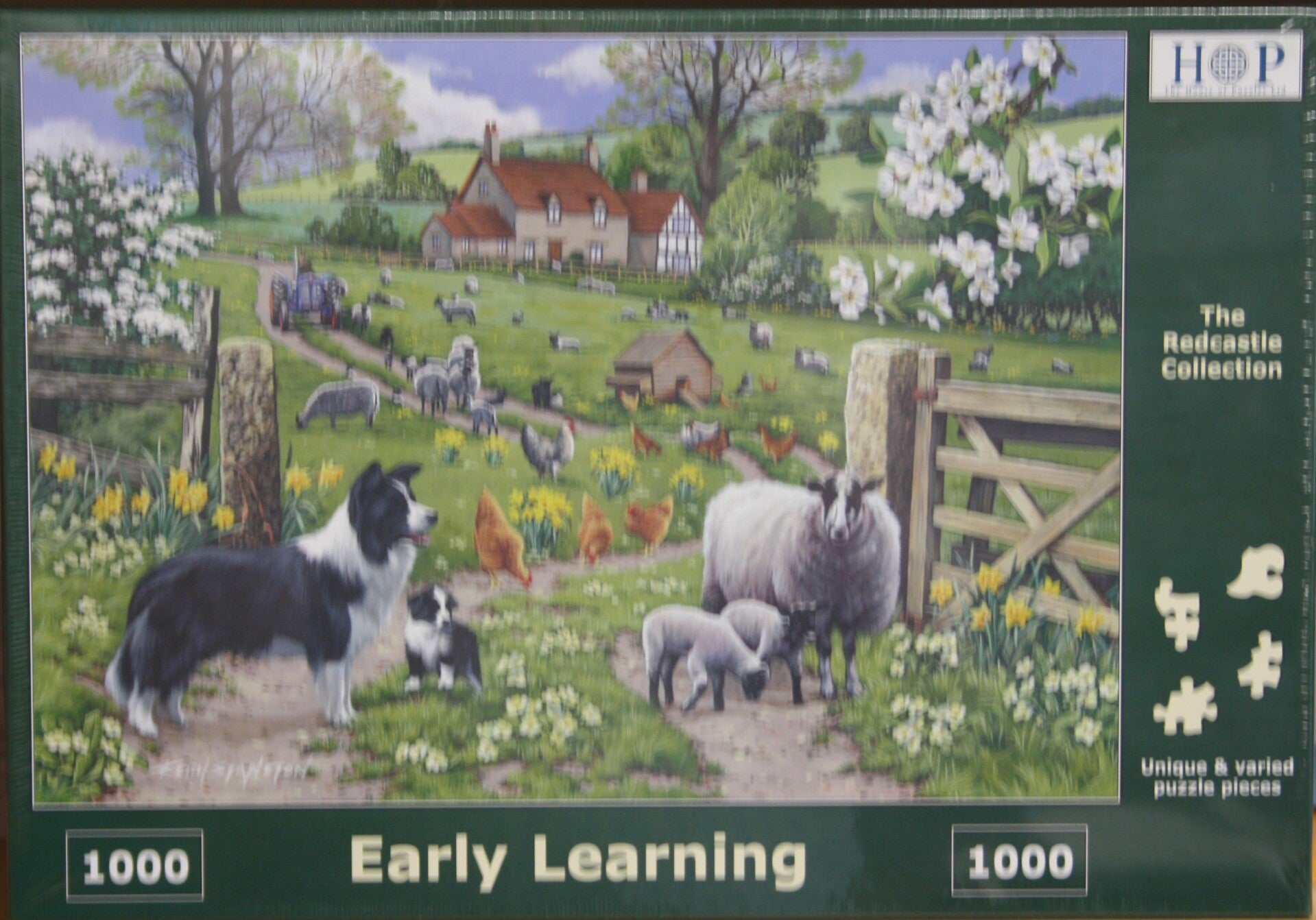 EARLY LEARNING, 1000 stukjes, 68,6x48,3cm.