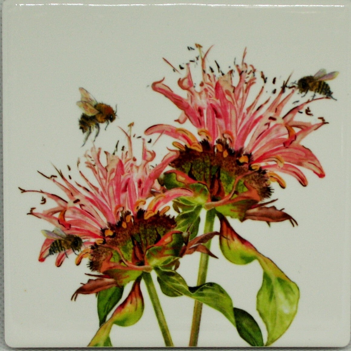 Bij & Bergamot, 1 Onderzetter