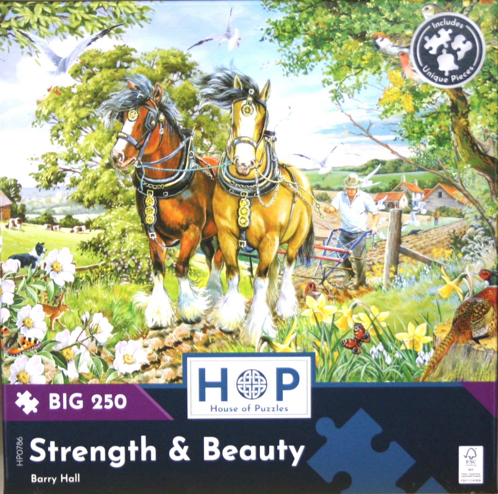 STRENGTH & BEAUTY, 250 stukjes, 34x48cm.