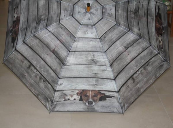 Hond en Kat