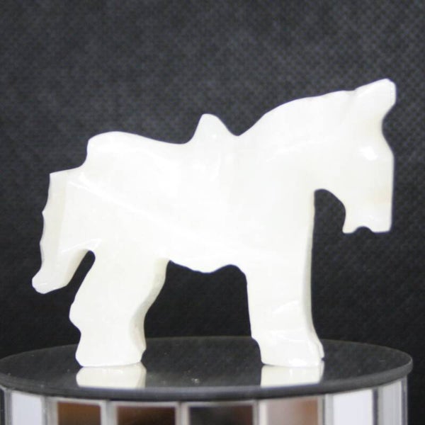 Paard m