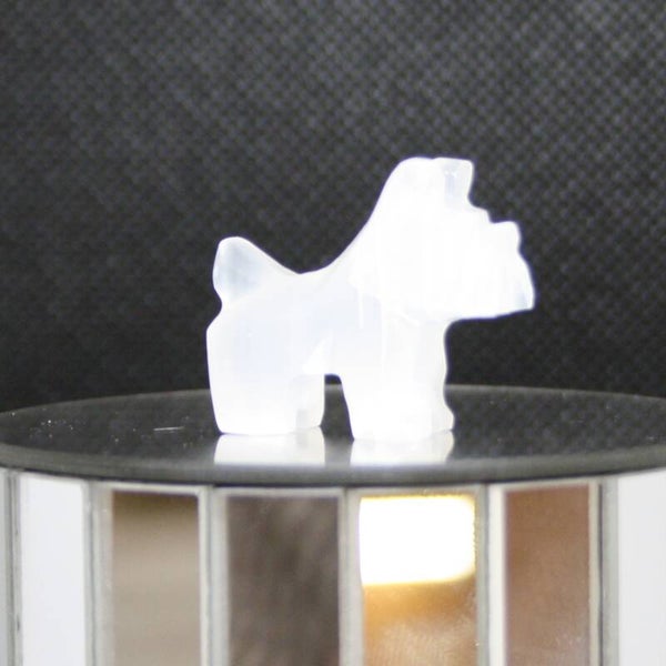 Terrier s (a)