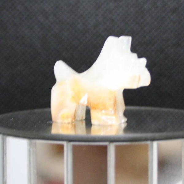 Terrier s (b)