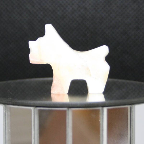 Terrier s (d)