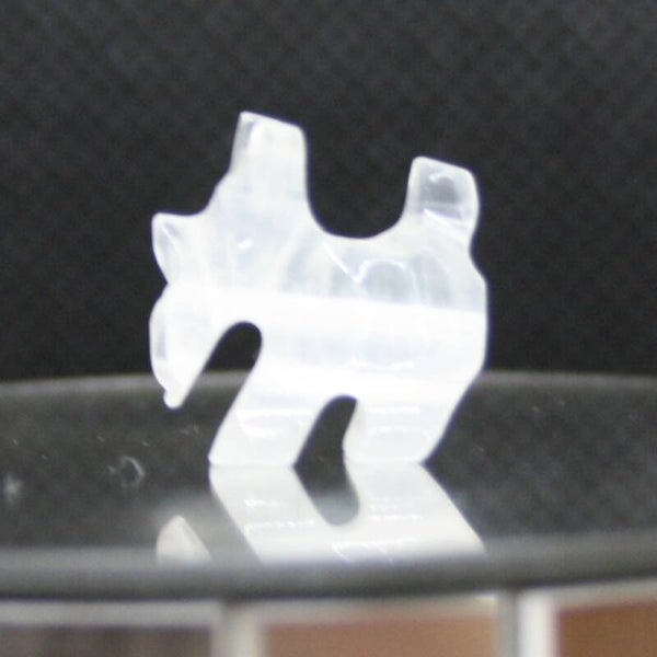 Terrier xs