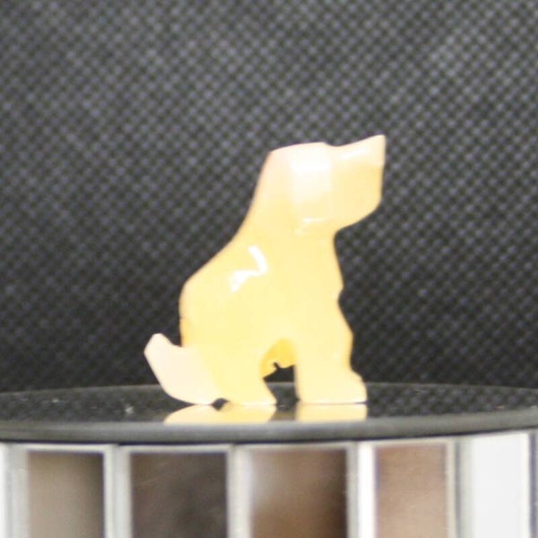 Hond zittend s (b)