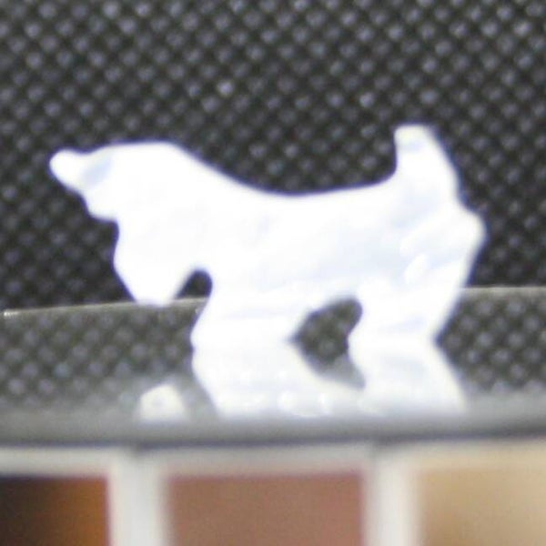 Cocker Spaniel xs