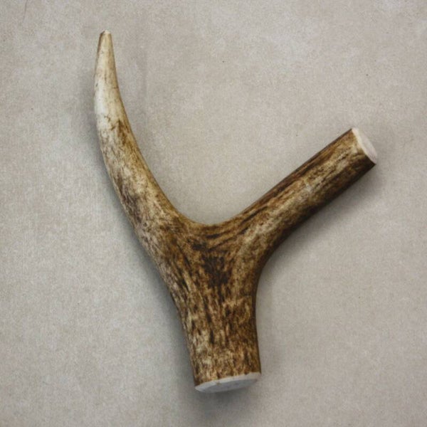 Hertengewei XL, 1 stuks, ca. 260 gram.