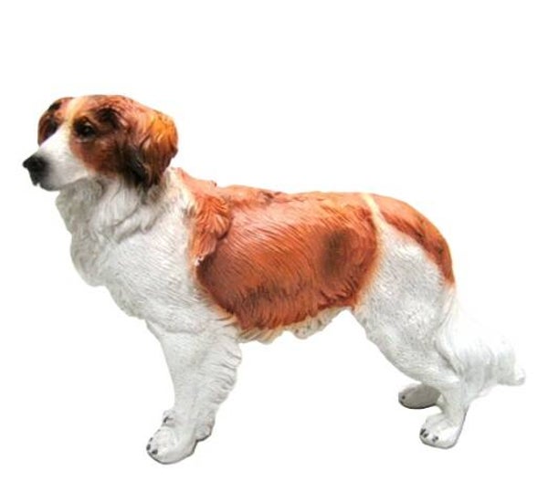 Kooiker, 11,5 cm