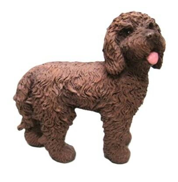 Labradoodle, 12 cm