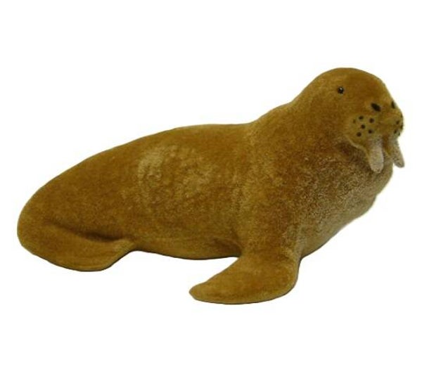 WALRUS, 12 cm.