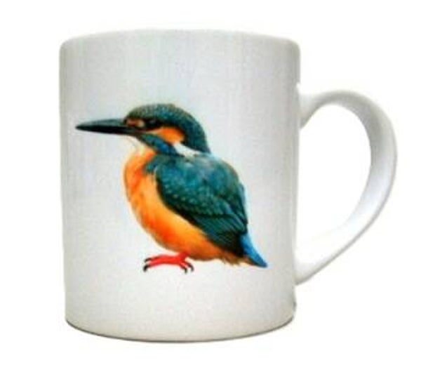 IJSVOGEL