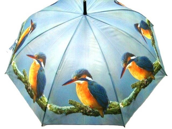IJSVOGEL