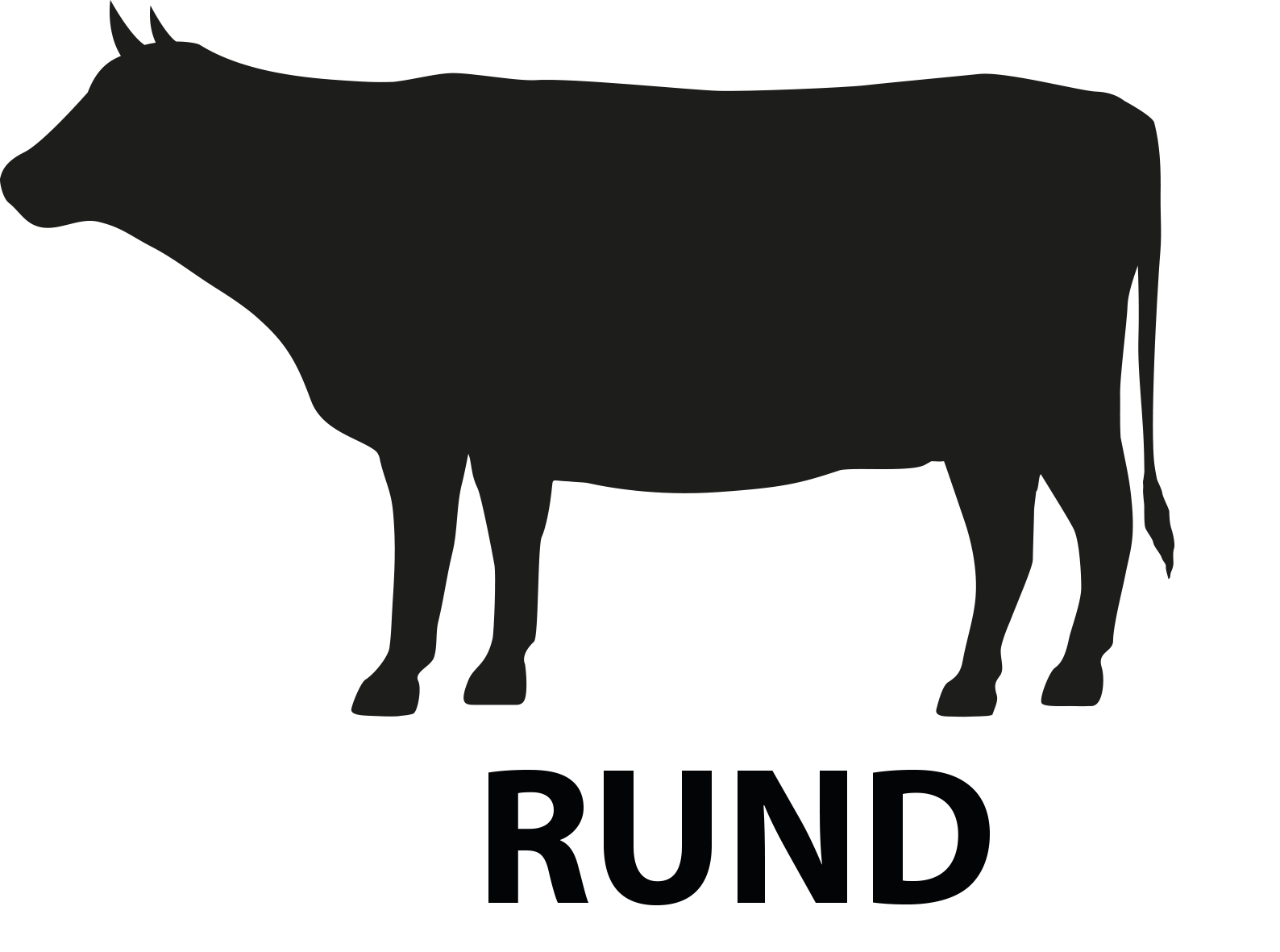 Vleesstrips Rund  100 gram