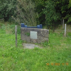 dscn5576jpg.jpg