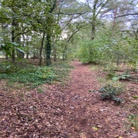 img_2730jpeg.jpeg