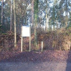 dscn5036jpg.jpg