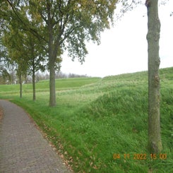 dscn5754jpg.jpg