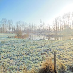dscn5028jpg.jpg
