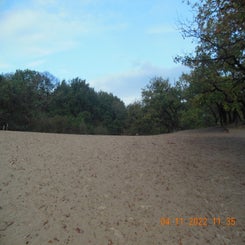 dscn5719jpg.jpg