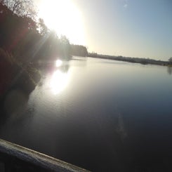 dscn5034jpg.jpg