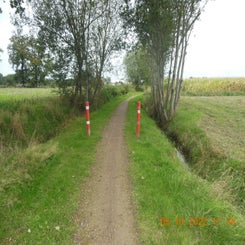 dscn5561jpg.jpg