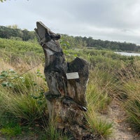 img_2738jpeg.jpeg