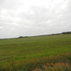 dscn5553jpg.jpg