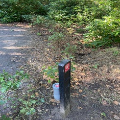 img_0438jpeg.jpeg