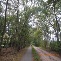dscn5542jpg.jpg