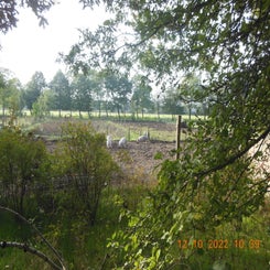 dscn5596jpg.jpg