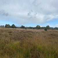 img_2735jpeg.jpeg