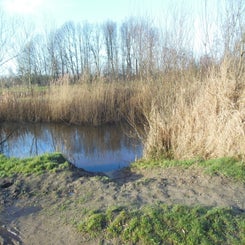 dscn5046jpg.jpg