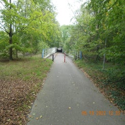 dscn5573jpg.jpg