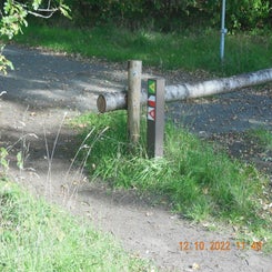 dscn5611jpg.jpg