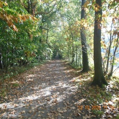 dscn5603jpg.jpg