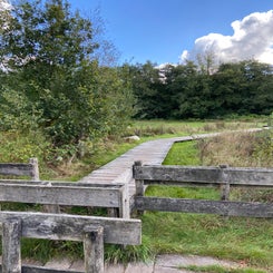 img_04411jpeg.jpeg