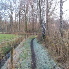 dscn5045jpg.jpg