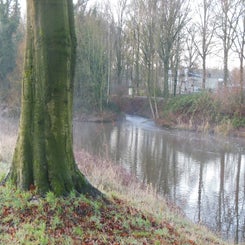 dscn5006jpg.jpg