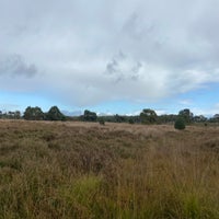 img_2736jpeg.jpeg