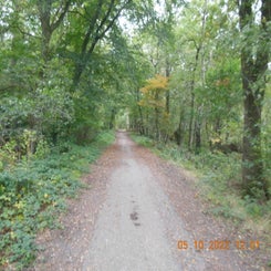 dscn5569jpg.jpg