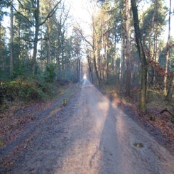 dscn5037jpg.jpg