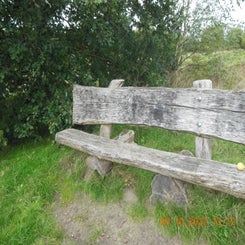 dscn5581jpg.jpg
