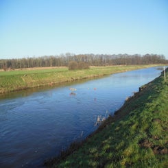 dscn5051jpg.jpg
