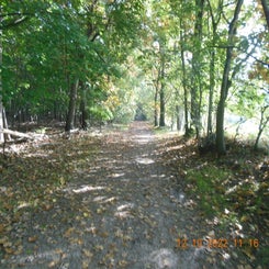 dscn5601jpg.jpg