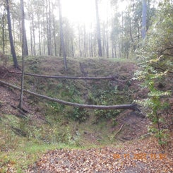 dscn5706jpg.jpg