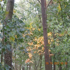 dscn5543jpg.jpg