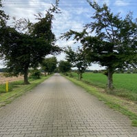 img_2584jpeg.jpeg