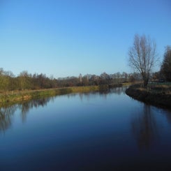 dscn5035jpg.jpg